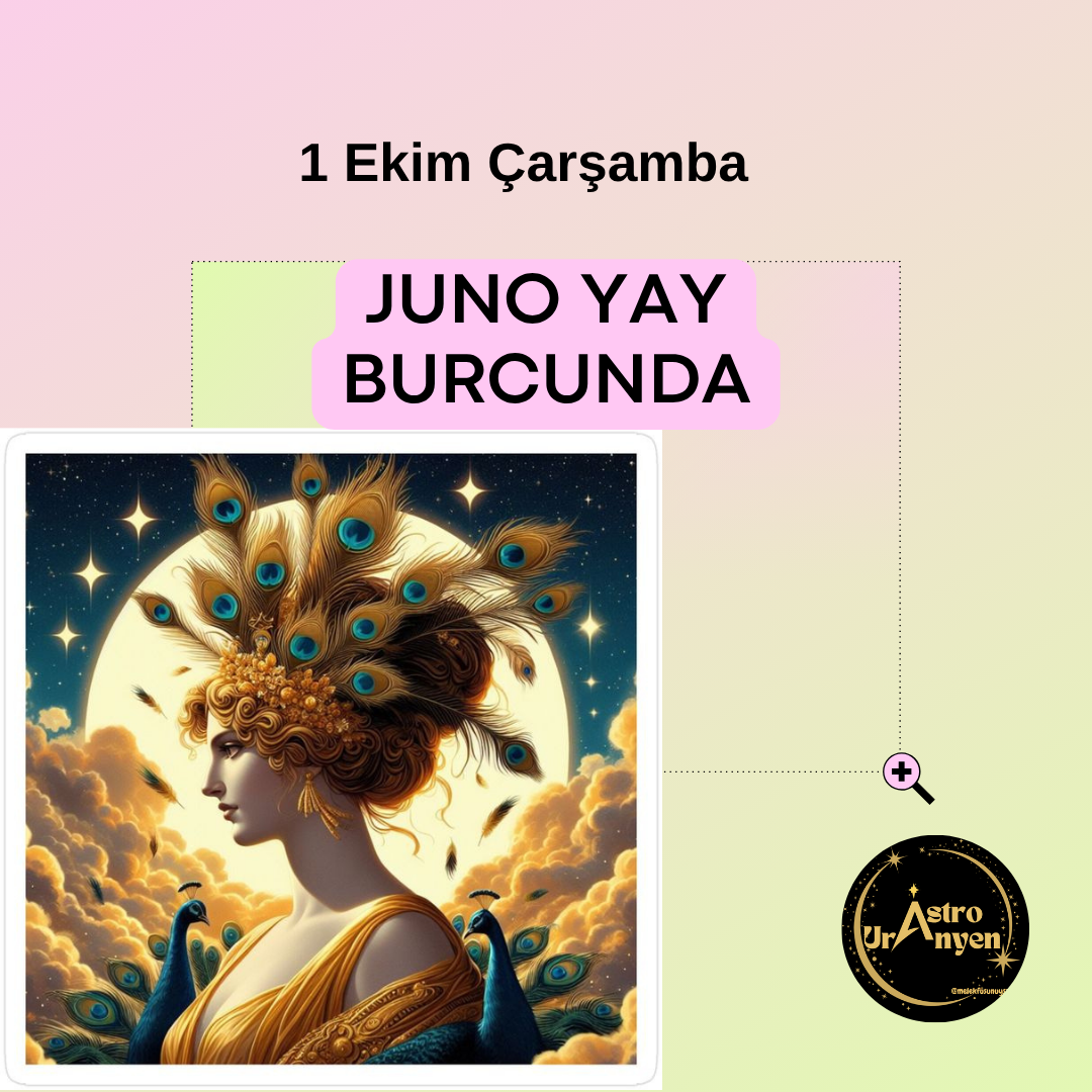 JUNO YAY BURCUNDA